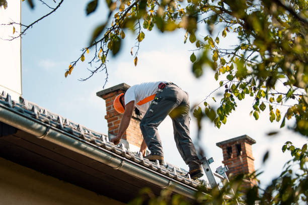 Best Storm Damage Roof Repair  in Laureles, TX